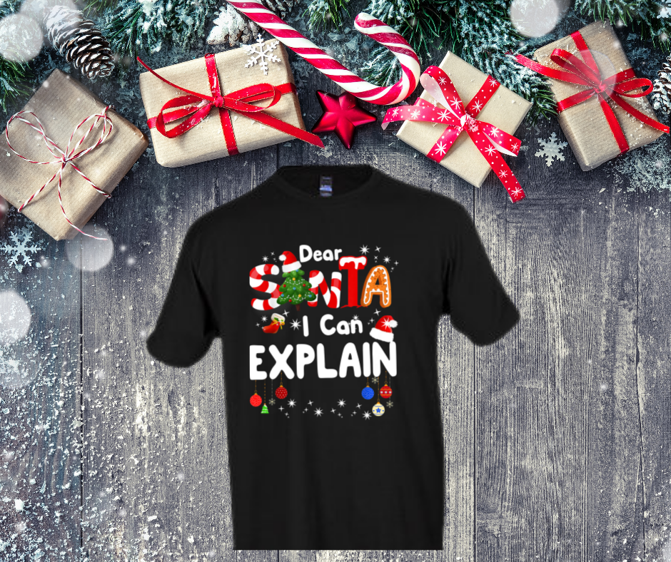 Dear Santa, I Can Explain, Christmas T-Shirt